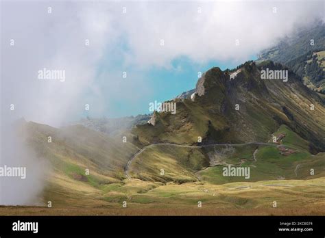  Jungfrau im Wald! Birinci Yüzyıl Almanya’sından Gelen Esrarengiz Bir Hikaye